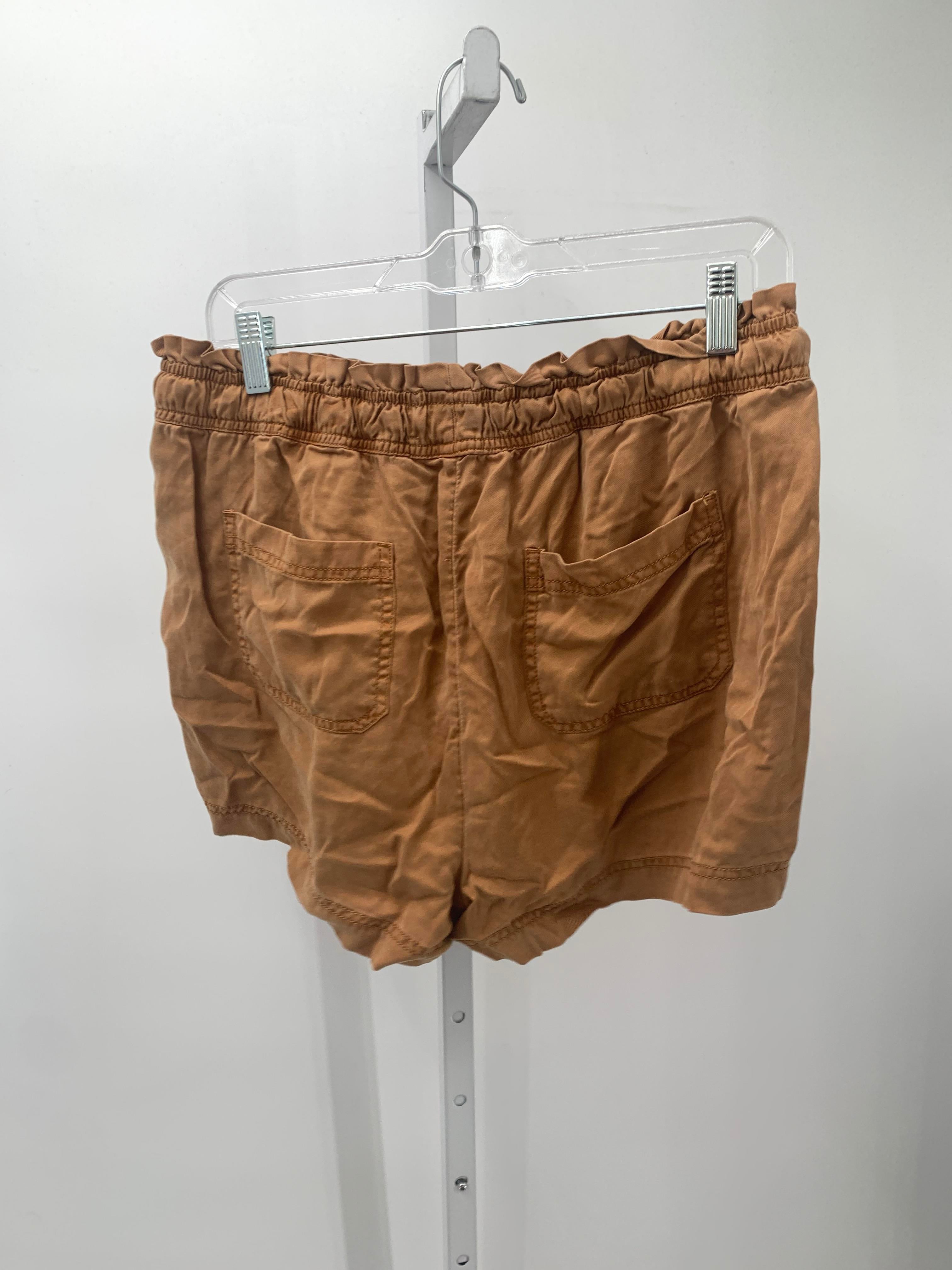 Size Large Misses Shorts