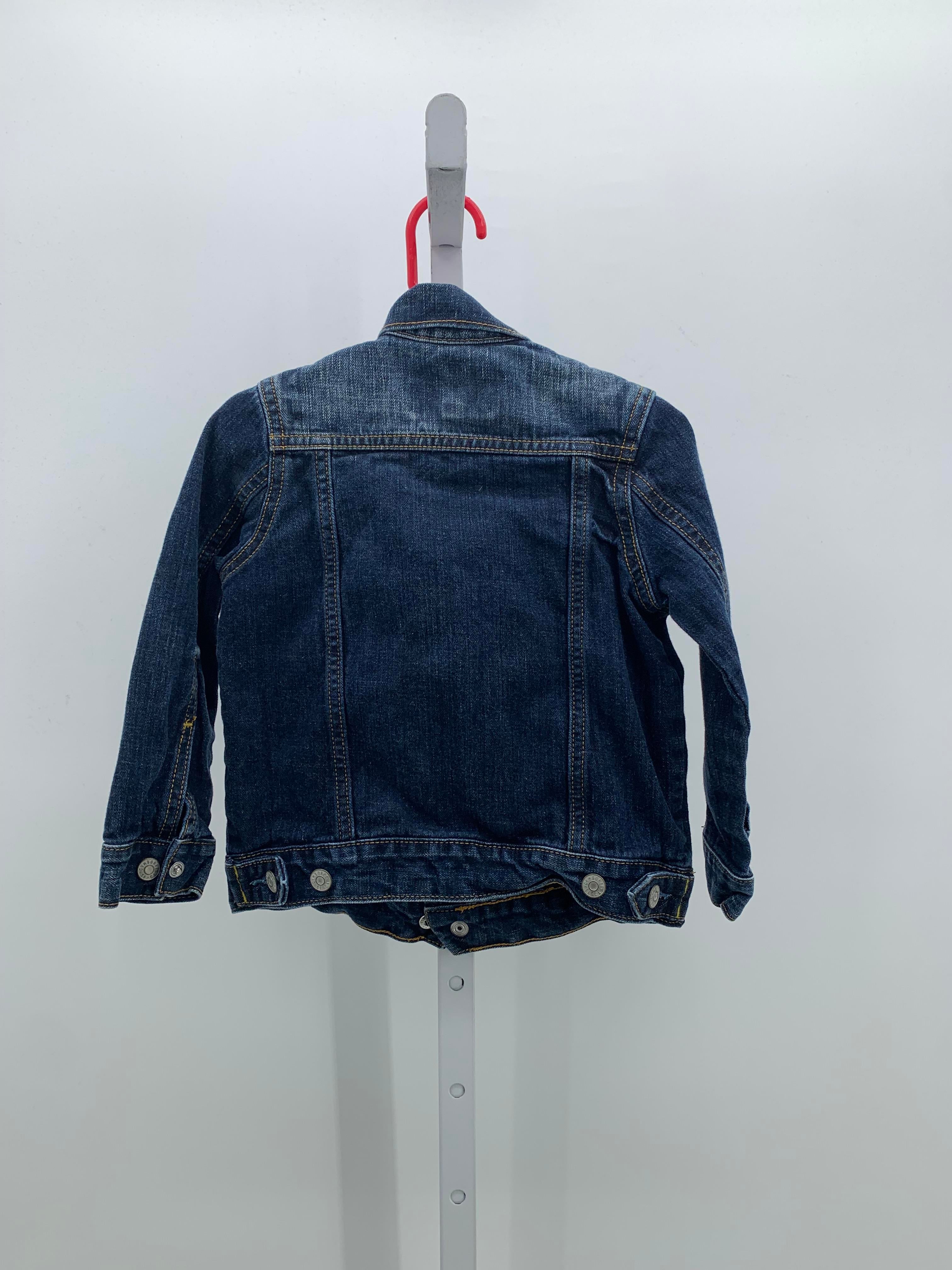 BTN DOWN DENIM