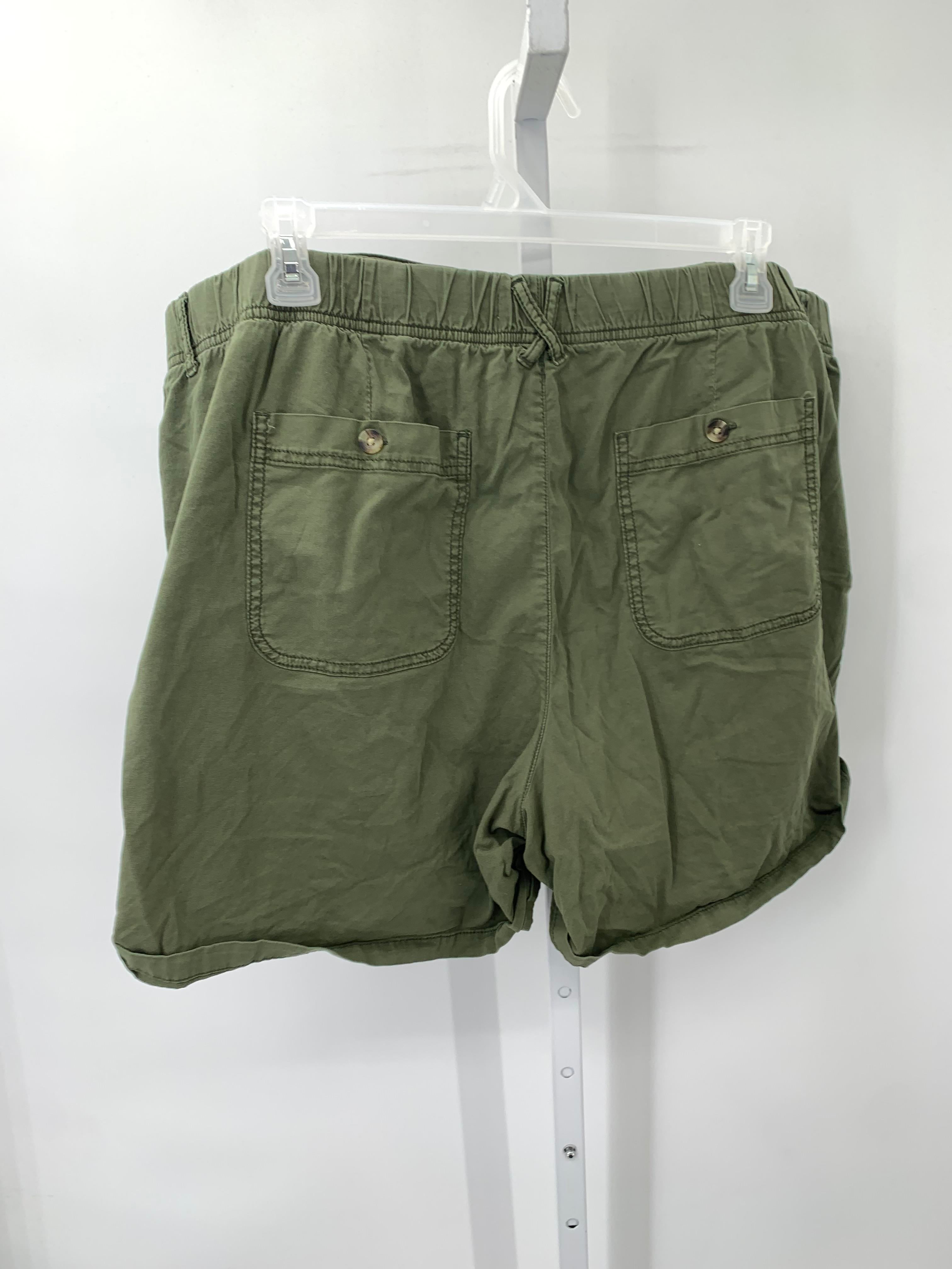 Sonoma Size 3X Womens Shorts