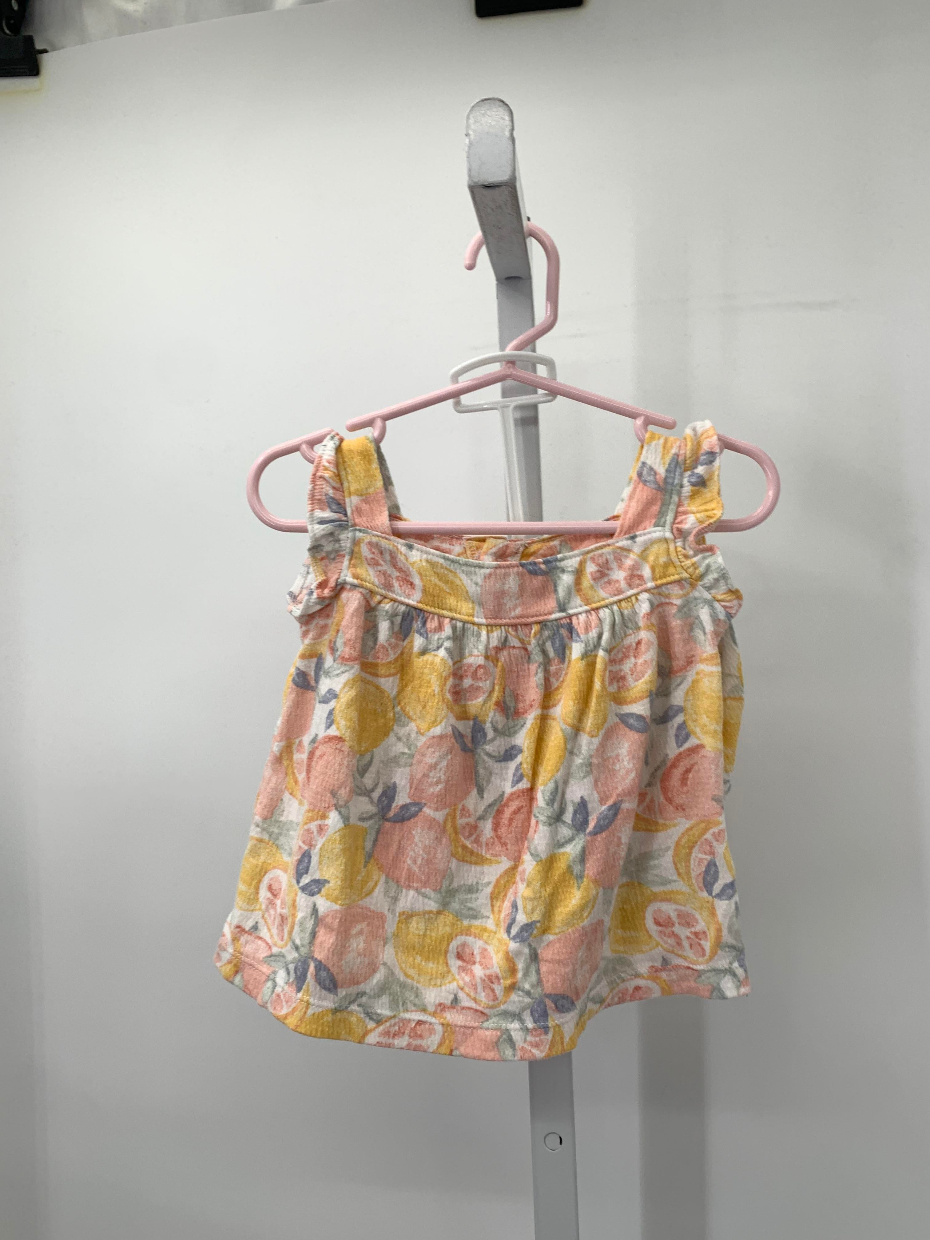 Carters Size 6-9 mon Girls 2 Pieces