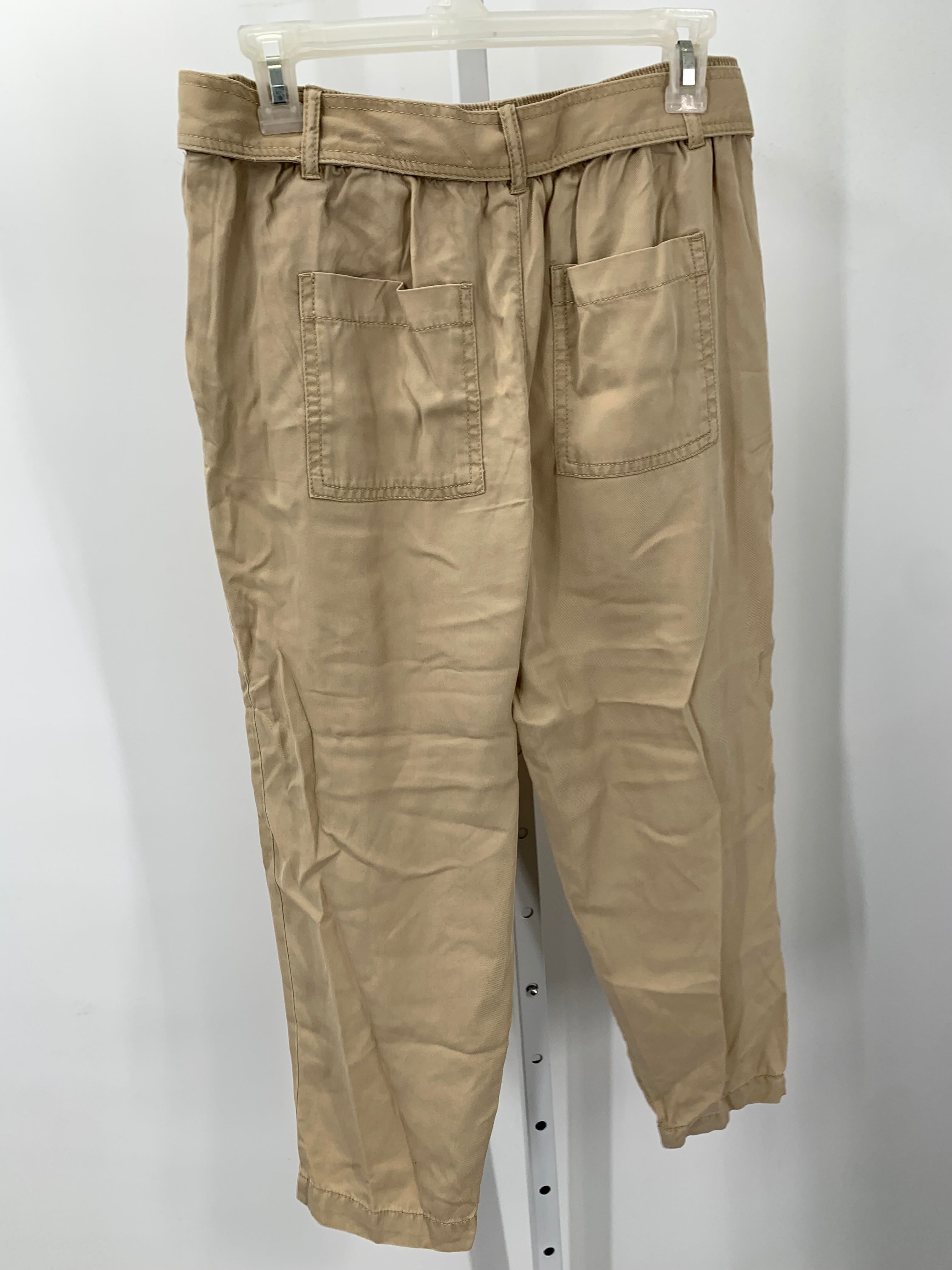 Loft Size Small Petite Petite Pants