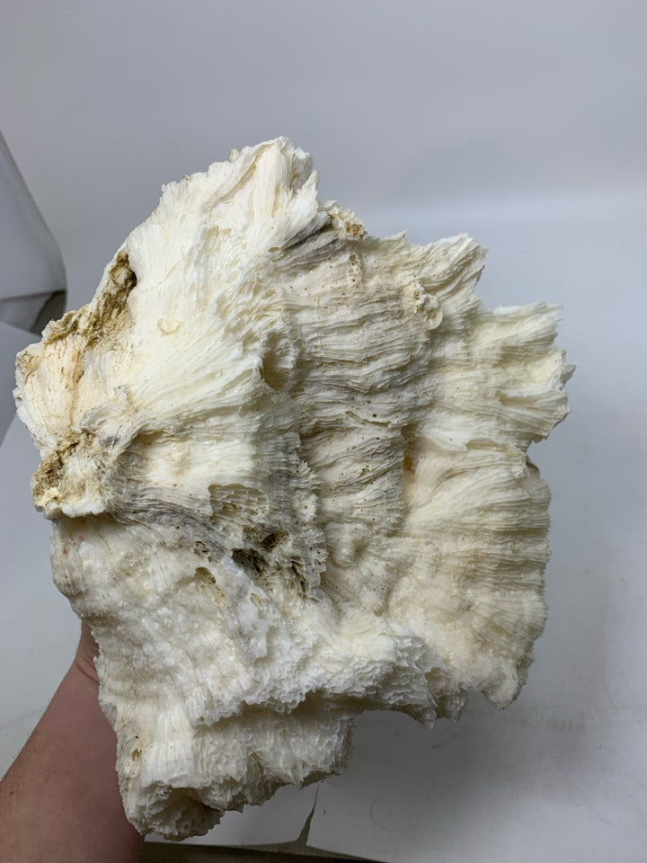 LARGE WHITE PIECE OF DECORATIVE CORAL.
