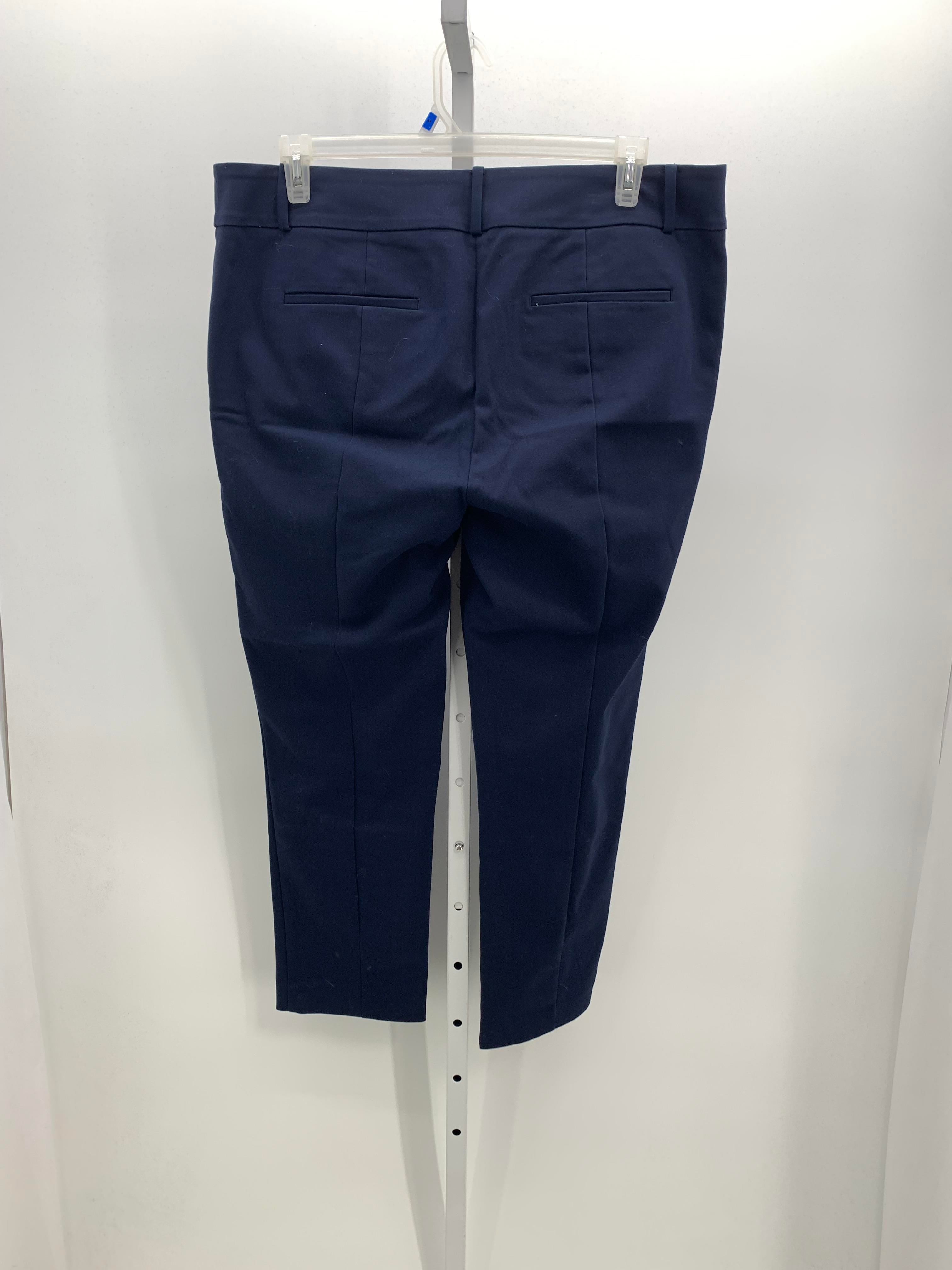 Loft Size 16 Misses Pants