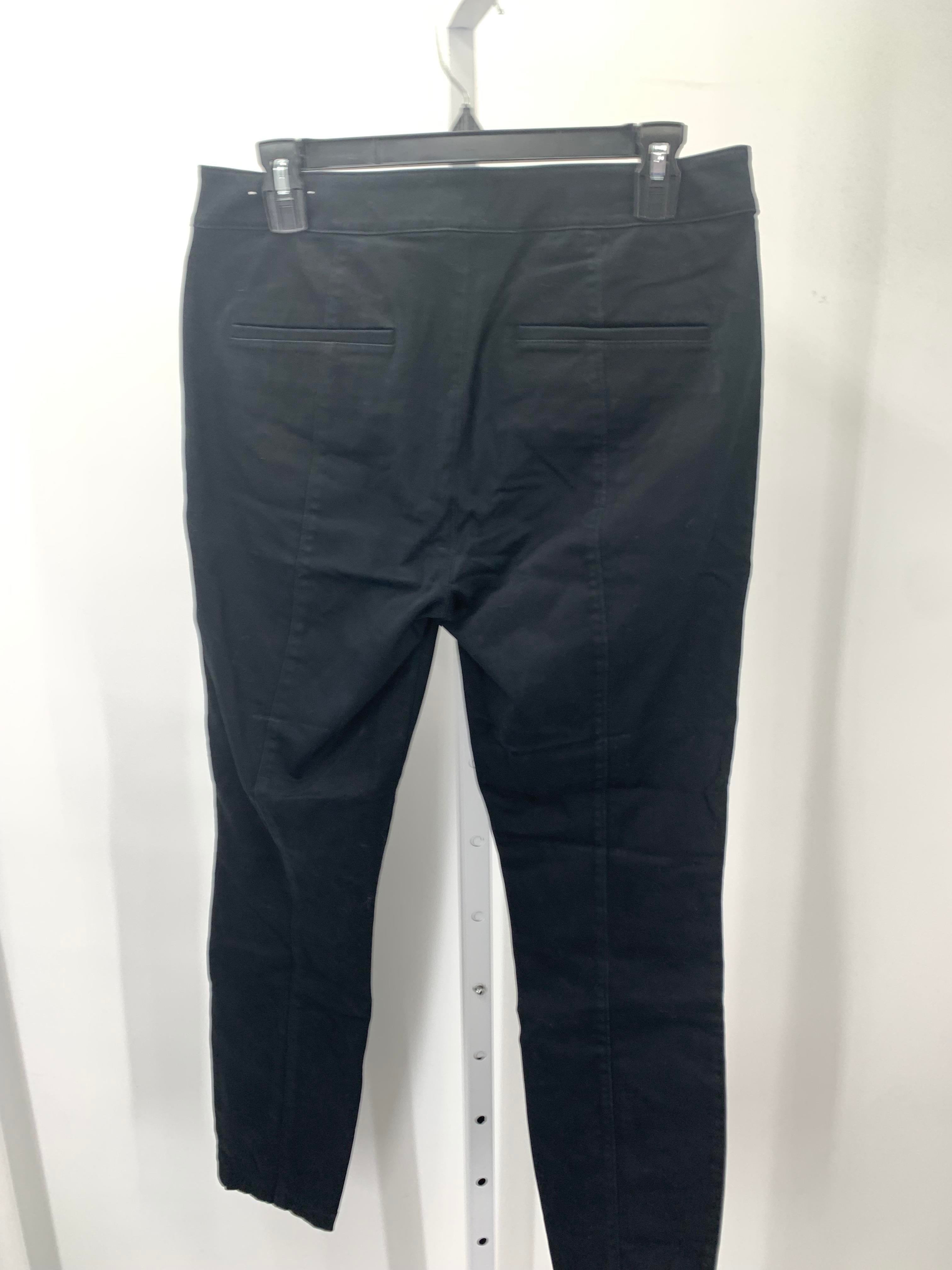 Loft Size Small Misses Pants