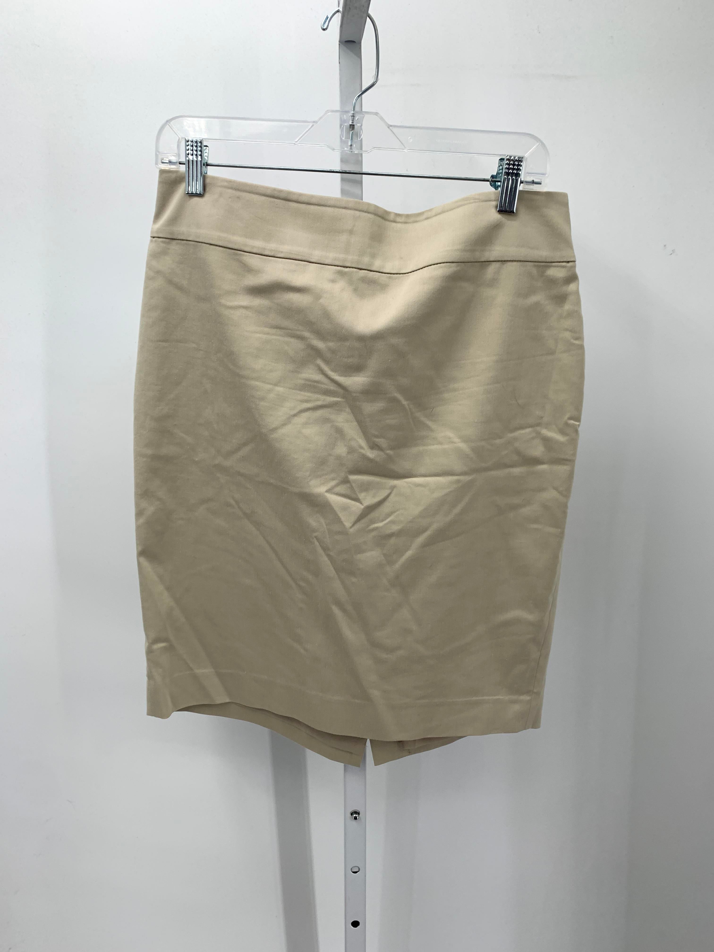 Ann Taylor Size 10 Misses Skirt