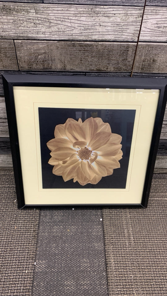 LIGHT BROWN FLOWER IN BLACK FRAME.