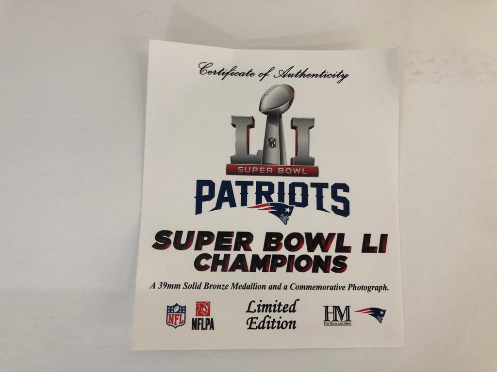 PATRIOTS SUPERBOWL CHAMPS WALL HANGING.