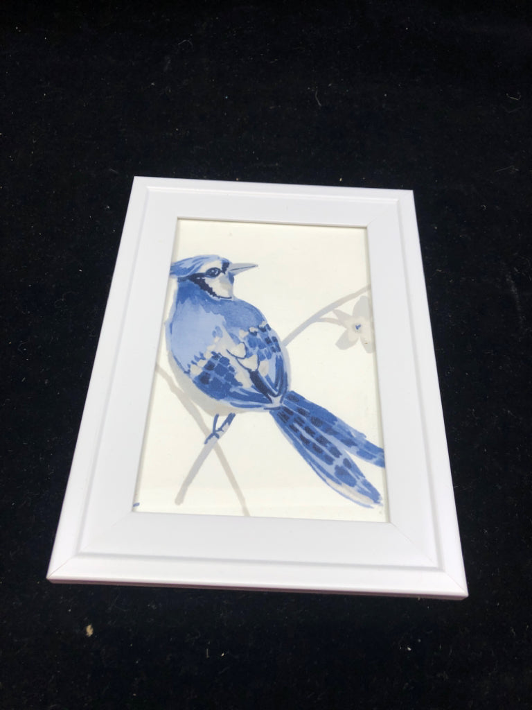 BLUE JAY IN WHITE FRAME WALL ART.