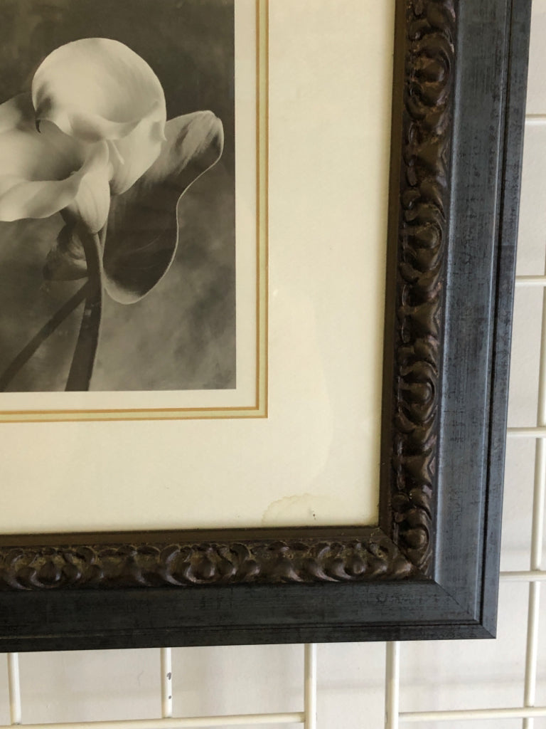 FLORAL PHOTO IN BLACK FRAME.