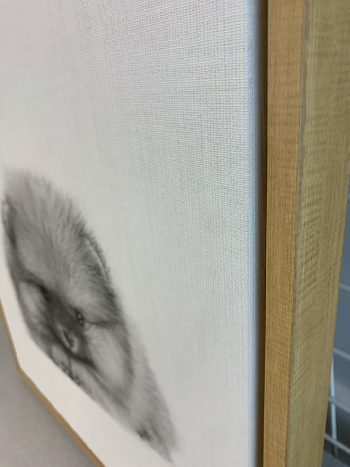 PUPPY PHOTO ON CANVAS IN WOOD FRAME.