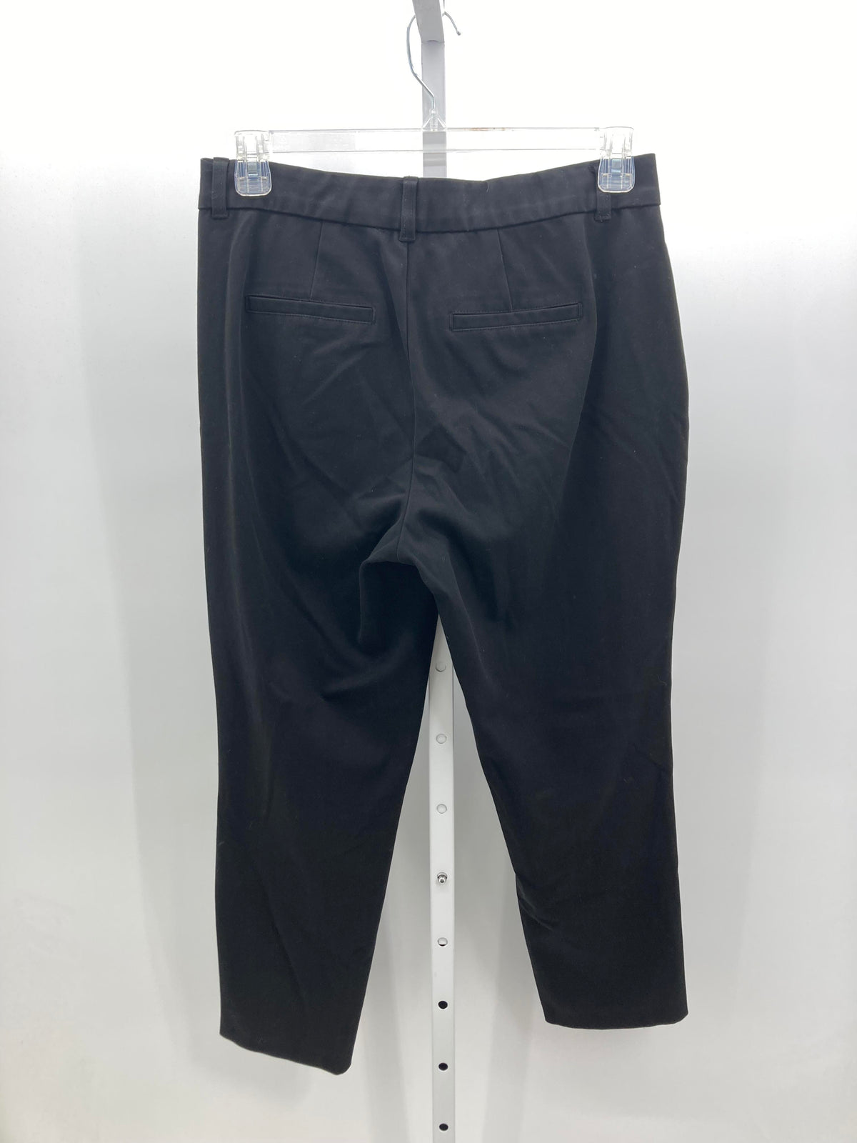 Studio Size 10 Misses Pants