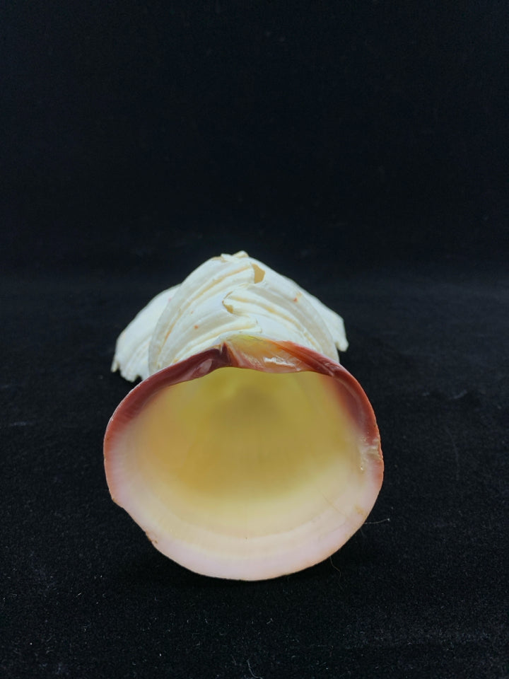SEASHELL BIRD.