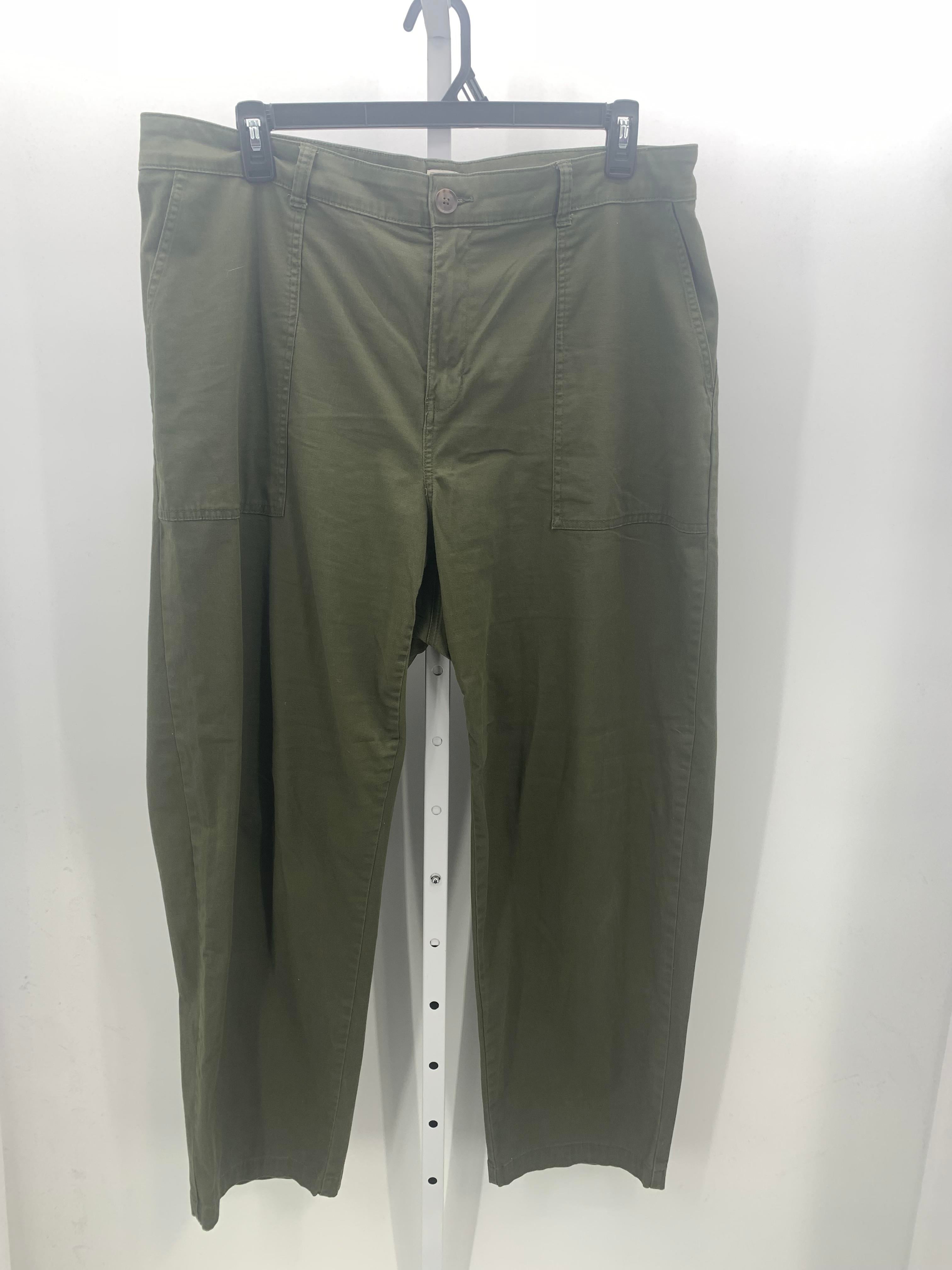 A New Day Size 18 Misses Pants