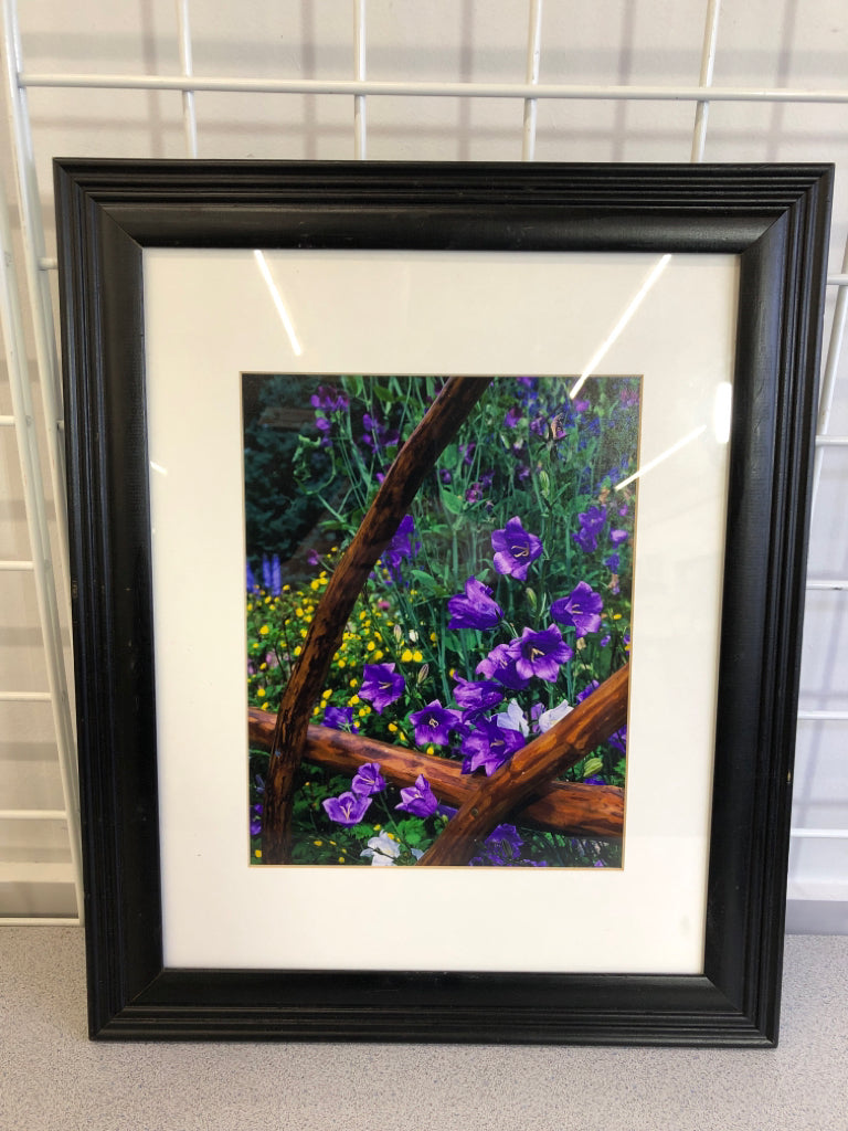 PURPLE BELLFLOWERS FRAMED PRINT.