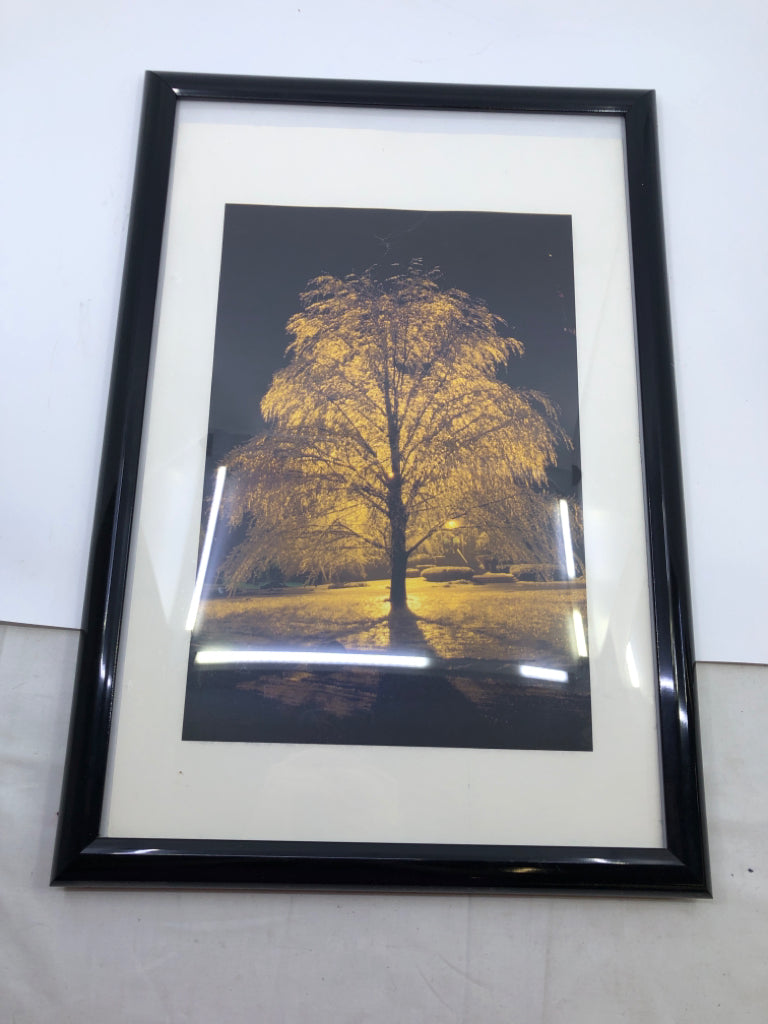 TREE IMAGE IN BLACK FRAME WALL ART.
