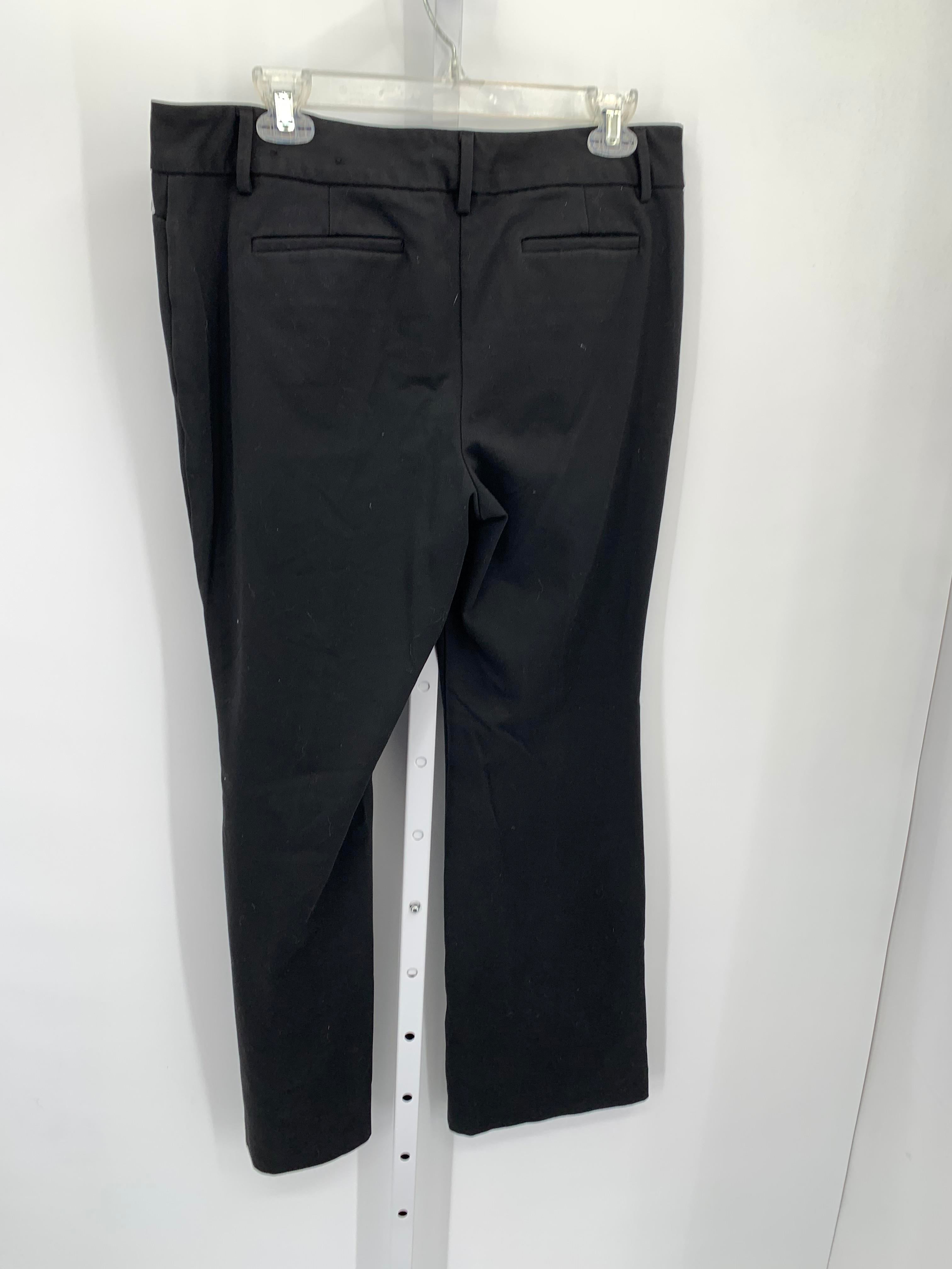 Ann Taylor Size 10 Petite Petite Pants