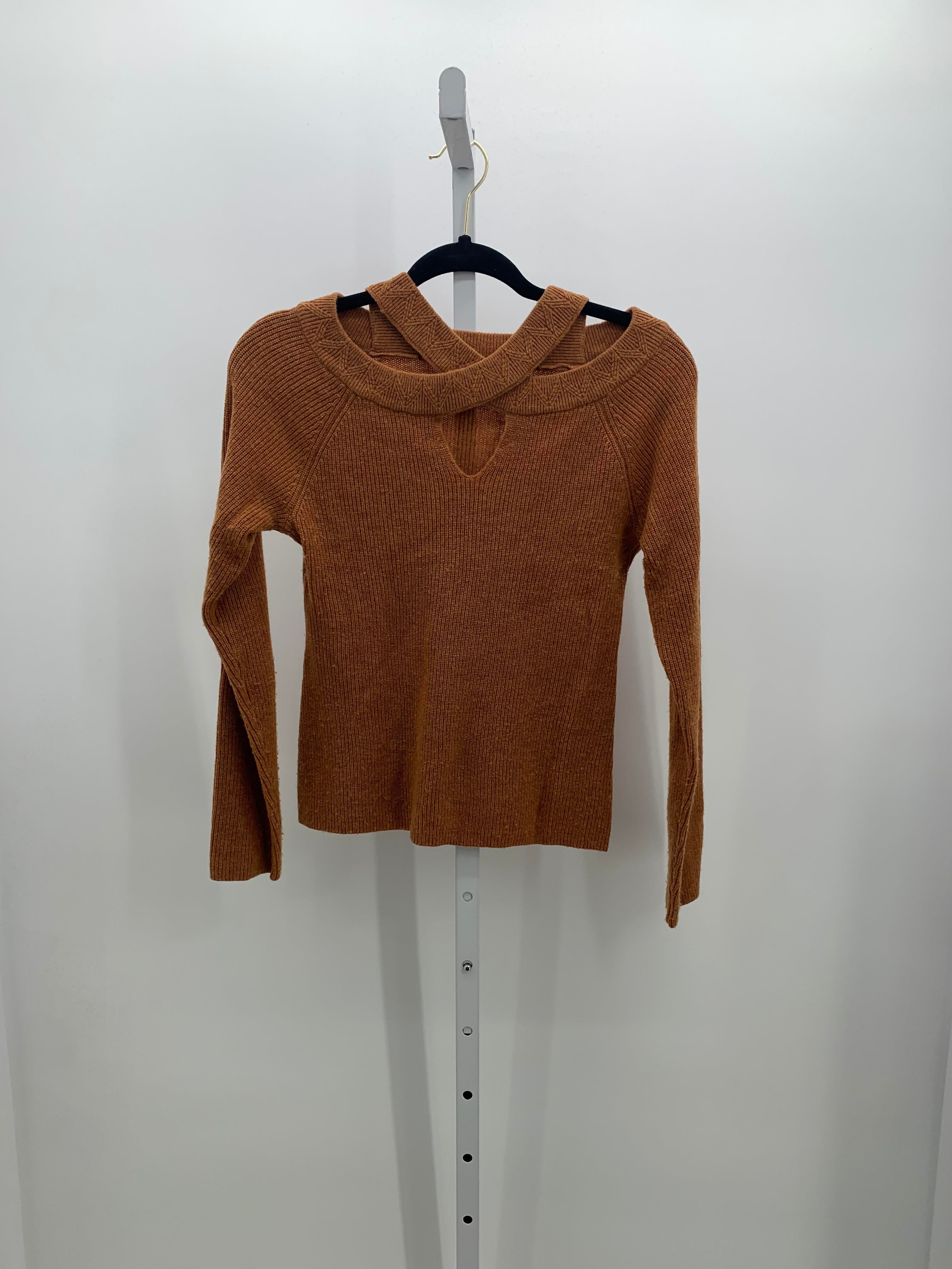 Soft Surroundings Size X Small Petite Petite Long Slv Sweater