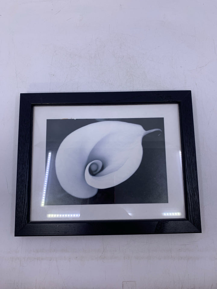 FRAMED CALLA LILY PRINT.