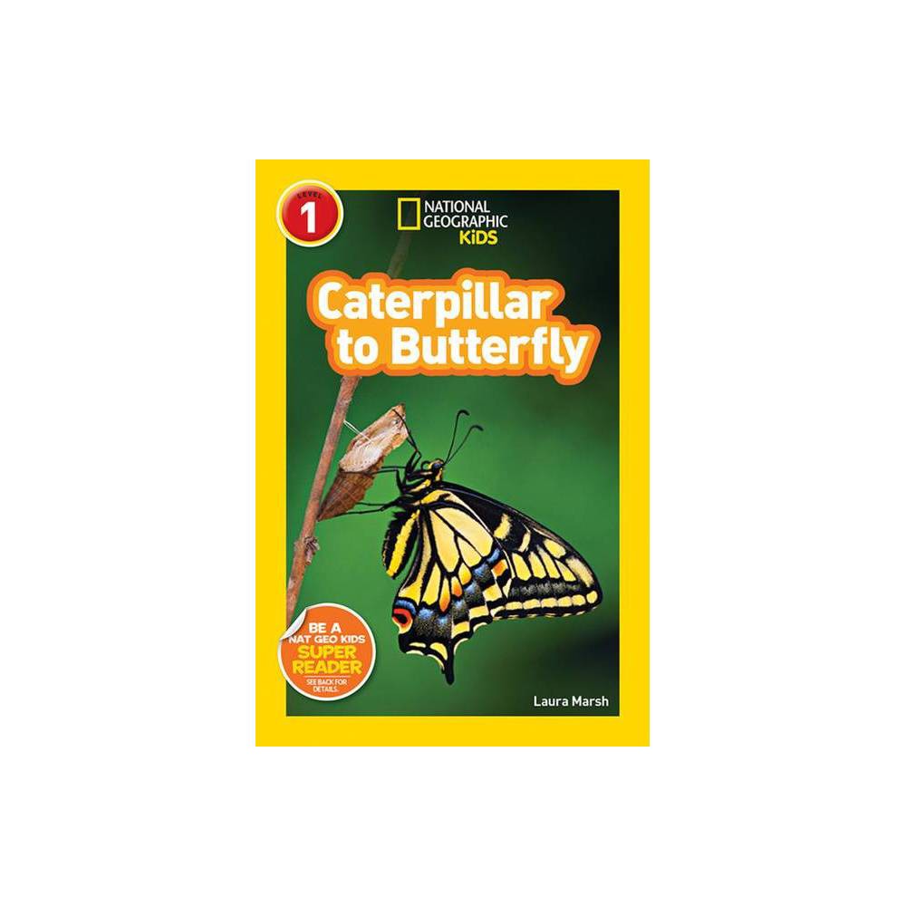 Caterpillar to Butterfly (Paperback) - Marsh, Laura