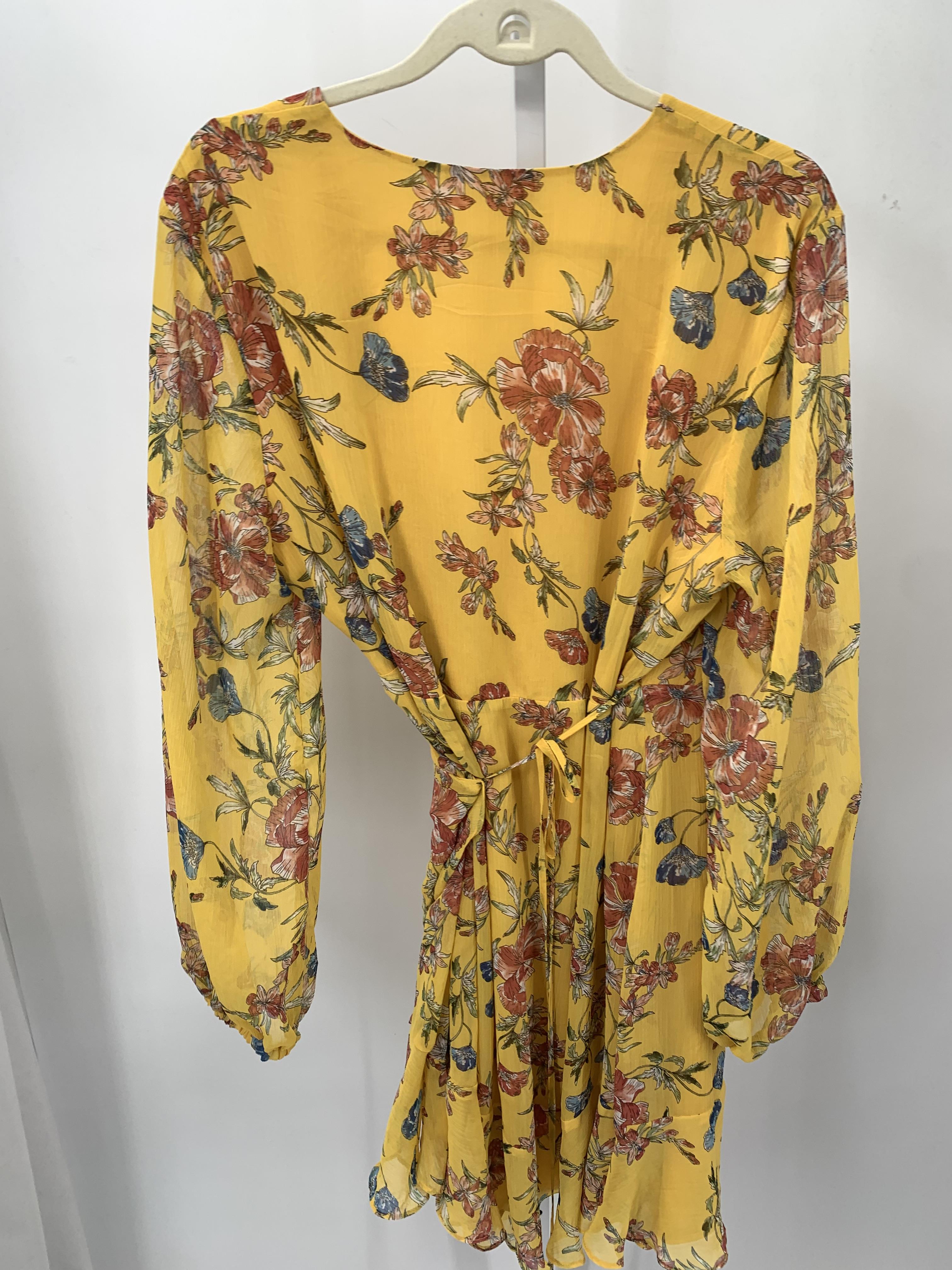 Size XXL Misses Long Sleeve Dress