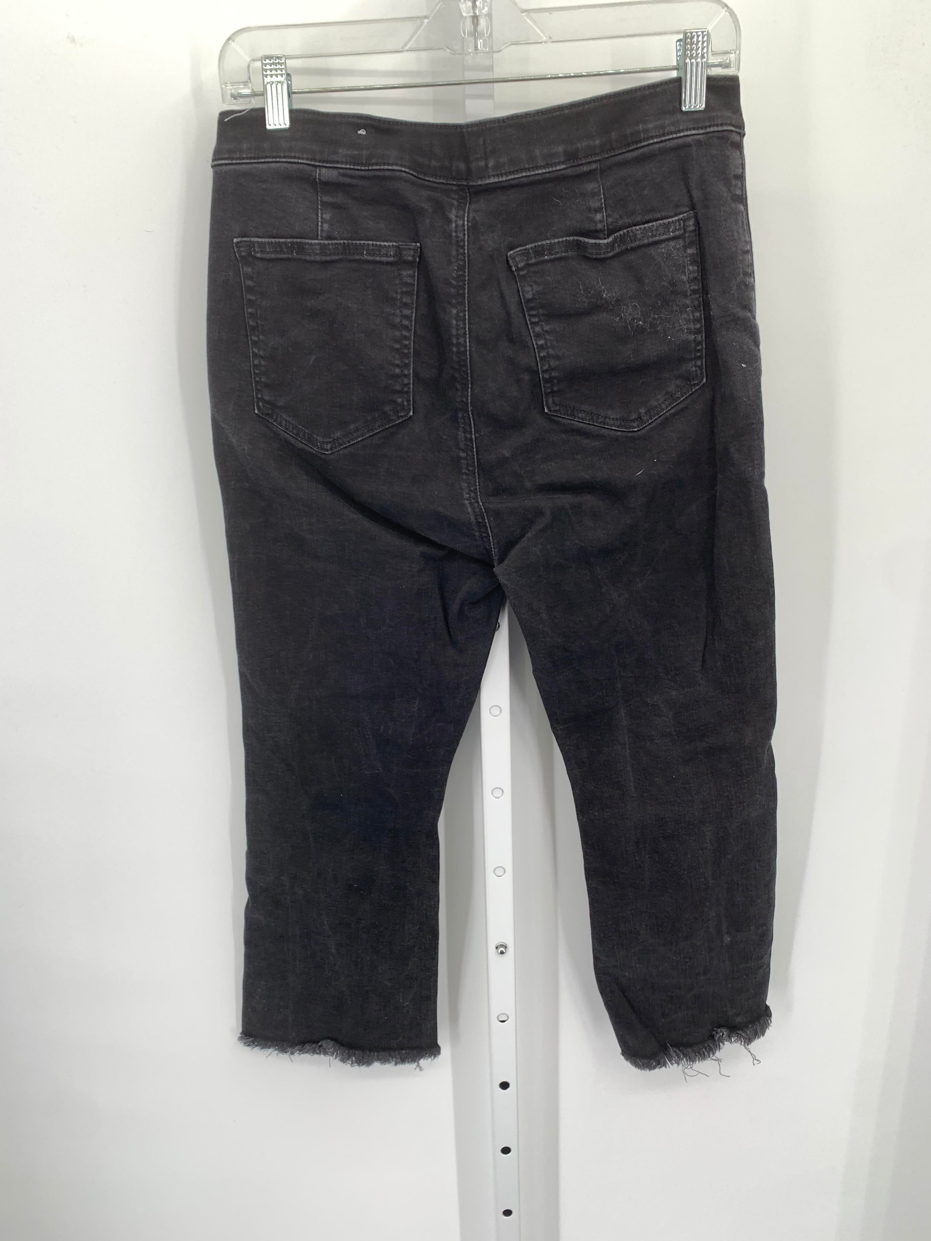 Loft Size 12 Petite Petite Cropped Pants