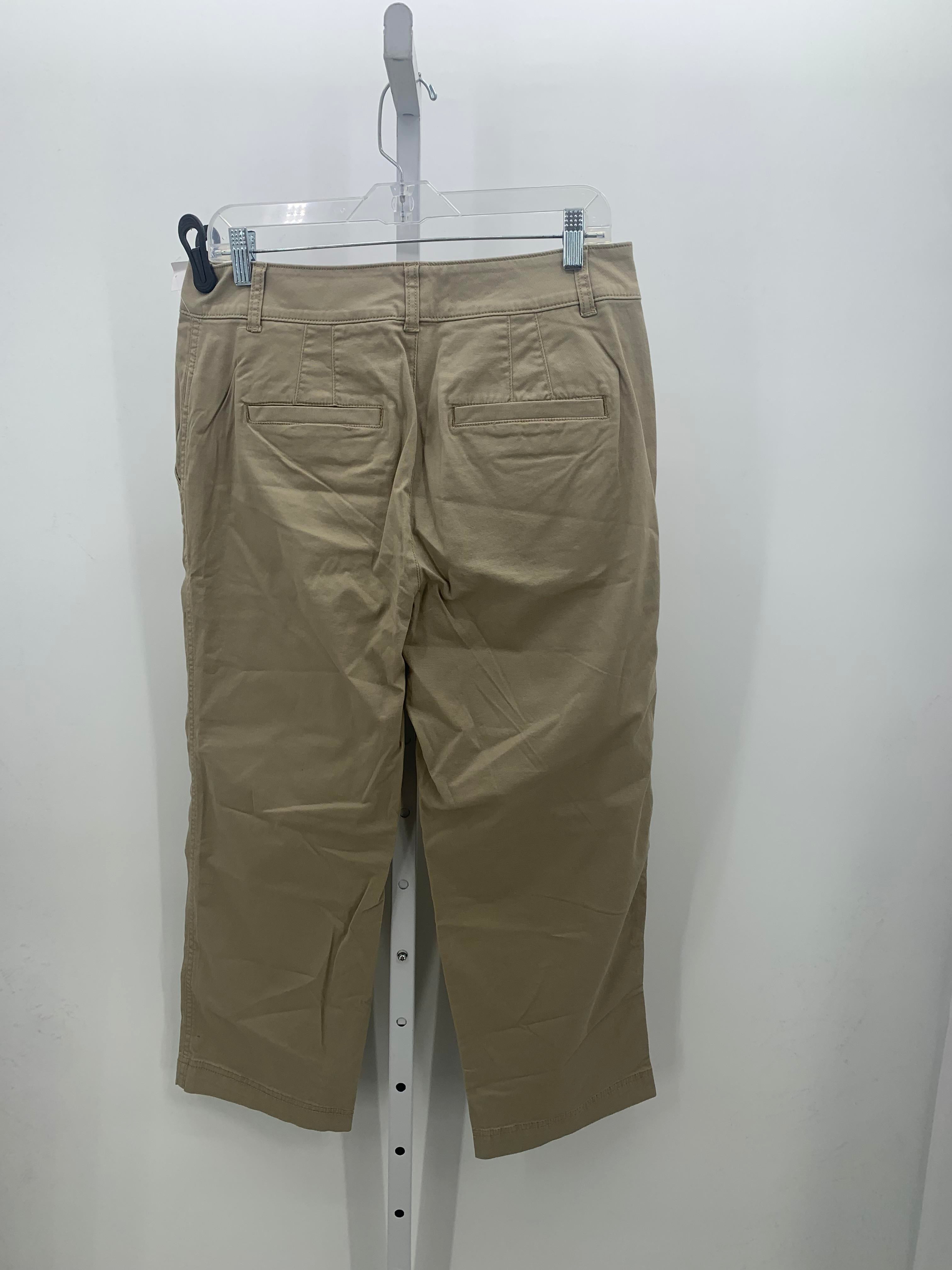 Gap Size 10 Petite Petite Pants