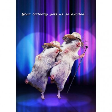 Jazz Hams, Birthday Card