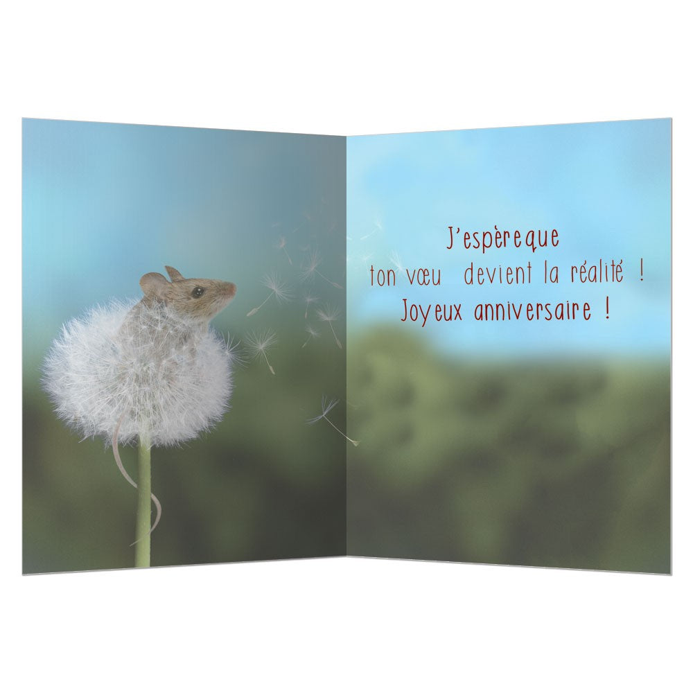 Wishes Come True, Birthday Card