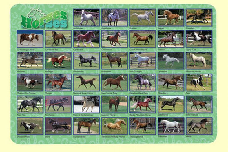 Horses Placemat - HOR-1