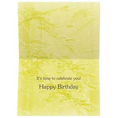 Secret Parade, Birthday Card