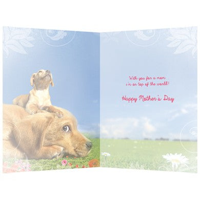 Top Of The World, Mother's Day Card