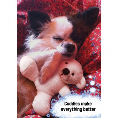Better With Cuddles, Support Card