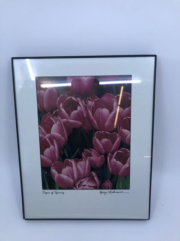 SMALL "SIGNS OF SPRING" PURPLE TULIP WALL HANGING.