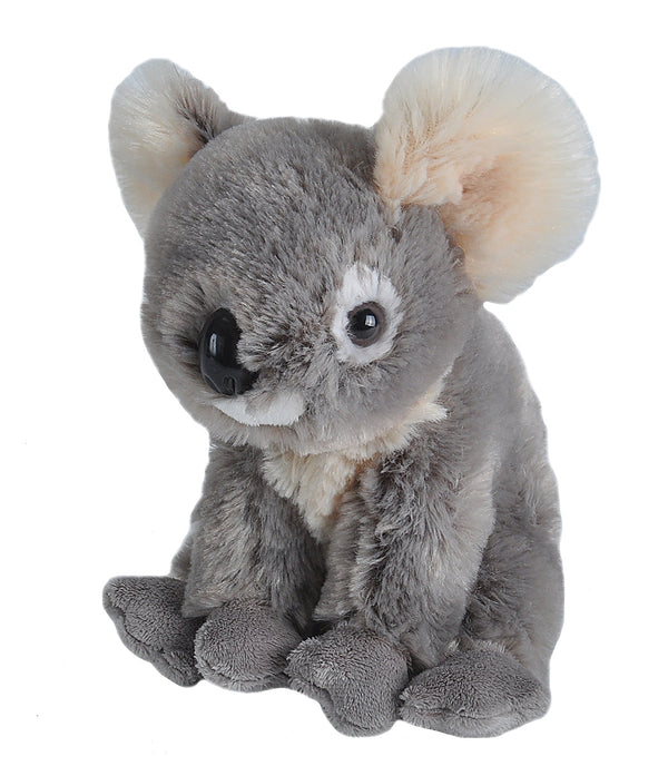 CK - Mini Koala