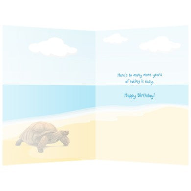 Turtle Birthday, Birthday Card