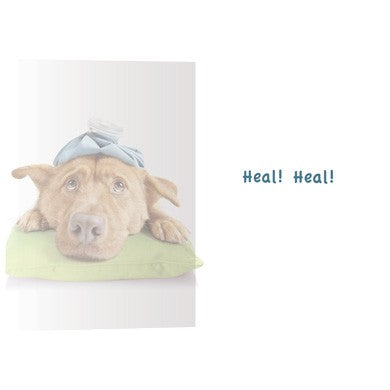 Sick As A Dog, Get Well Card