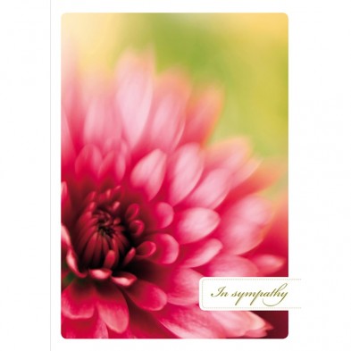 Peace & Comfort, Sympathy Card