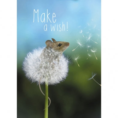 Wishes Come True, Birthday Card