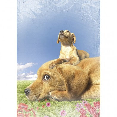 Top Of The World, Mother's Day Card