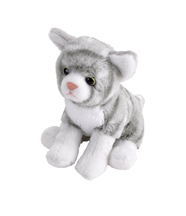 Pocketins - Gray Tabby Cat