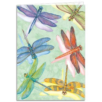 Dragonflies, All Occasion Card