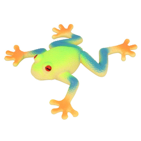 Stretchy Red Eyed Tree Frog