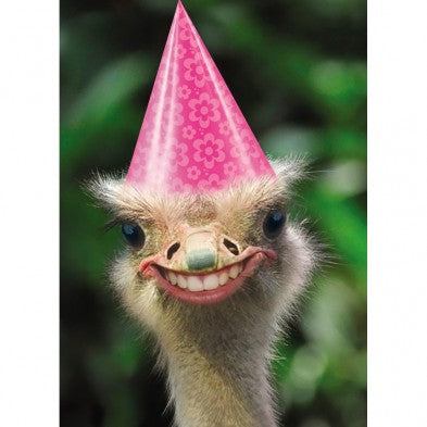 Freakishly Happy, Birthday Card