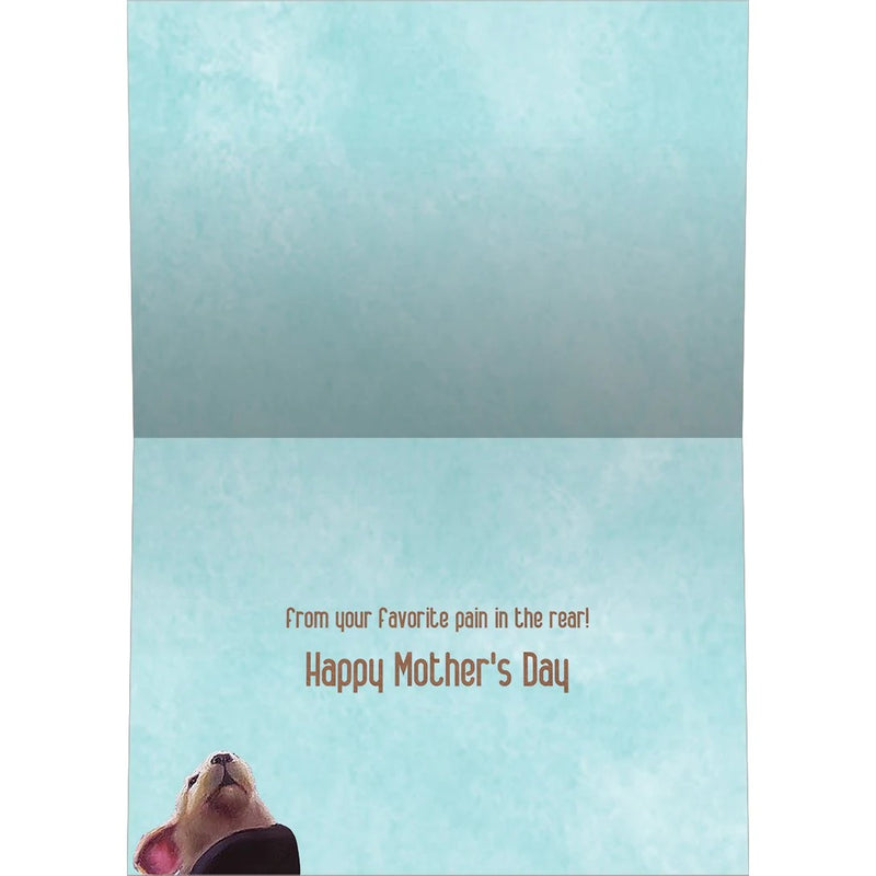 Pain in Rear - Mother's Day Card