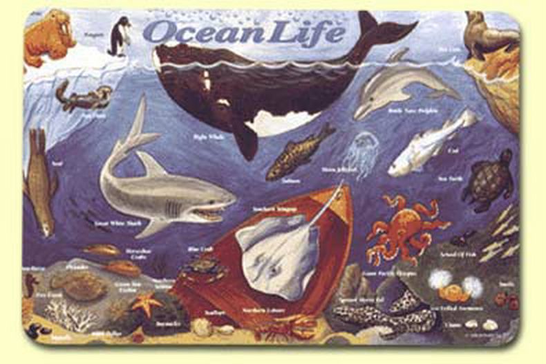 Ocean Life Placemat