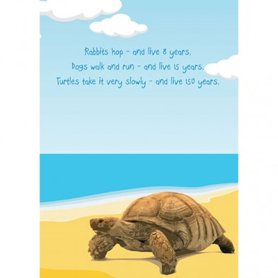 Turtle Birthday, Birthday Card